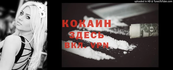 гидра Заполярный