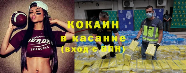 шишки Володарск