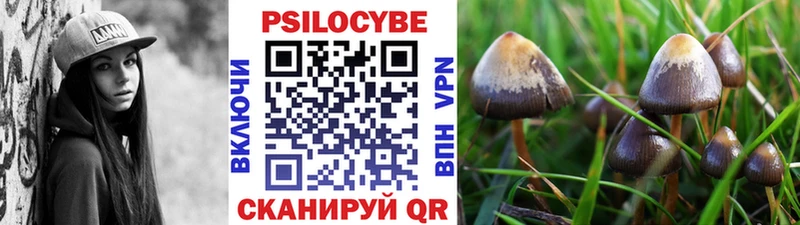 МЕГА ONION  Новоржев  Галлюциногенные грибы Cubensis 